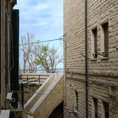 Loft Palazzo D'amelj Nel Centro Storico Di